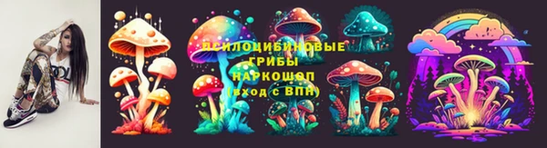 a pvp Богородск