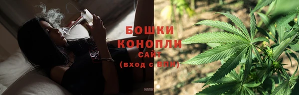 ALPHA PVP Богородицк