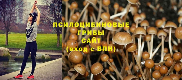 ALPHA PVP Богородицк