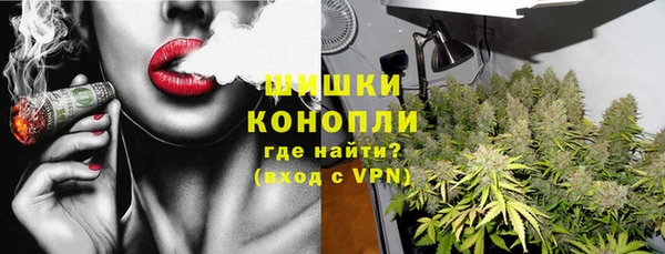 ALPHA PVP Богородицк