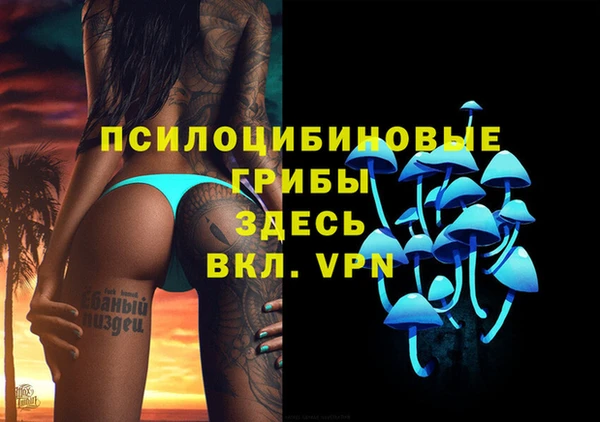 a pvp Богородск