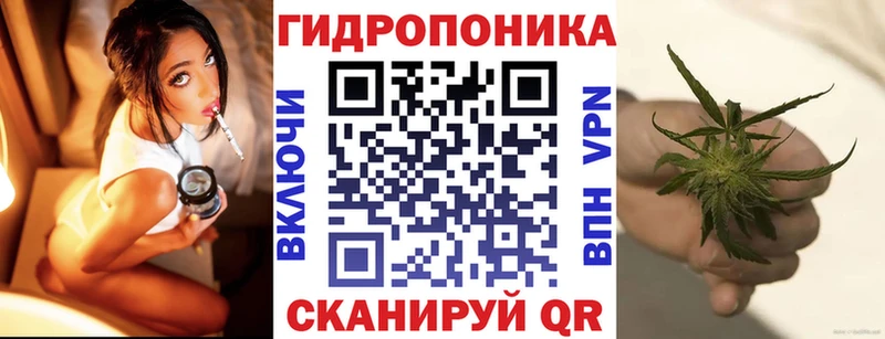 Шишки марихуана план  Купить  Донской 